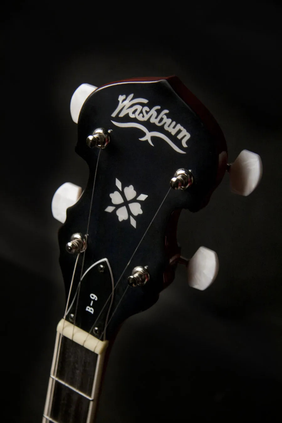Washburn B8 Banjo - 5-String Resonator Banjo