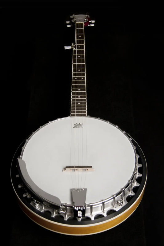 Washburn B8 Banjo - 5-String Resonator Banjo